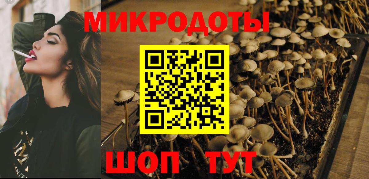Галлюциногенные грибы Magic Shrooms Коряжма